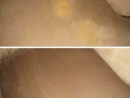 sofa cleaning